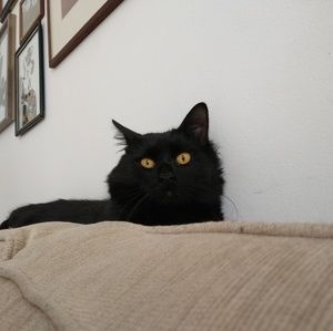 Meet your Posher, Christelle